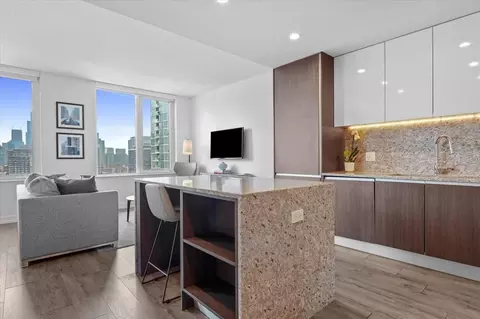 1138 N Wells St #407376P, Chicago, IL 60610