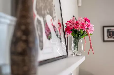 500 W Rosemary St #1300722P, Chapel Hill, NC 27516