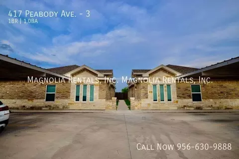 417 Peabody Ave #3, Edinburg, TX 78539