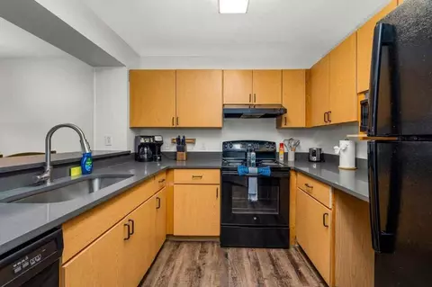 2507 Rustic Ridge Loop #1295167P, Lutz, FL 33559
