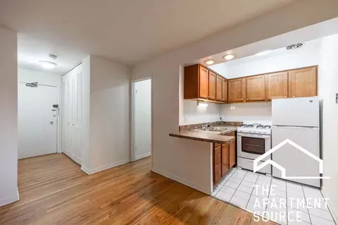 540 W Roscoe St #489, Chicago, IL 60657