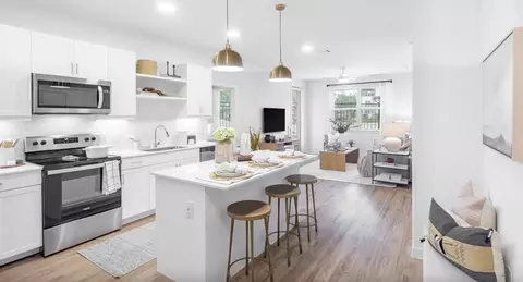 101 River Overlook Rd, Georgetown, TX 78628