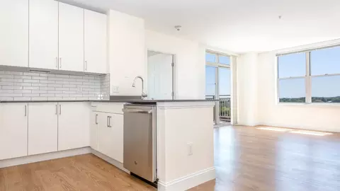 70 Hope Ave, Waltham, MA 02453 photo 41