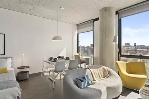 160 N Elizabeth St, Chicago, IL 60607