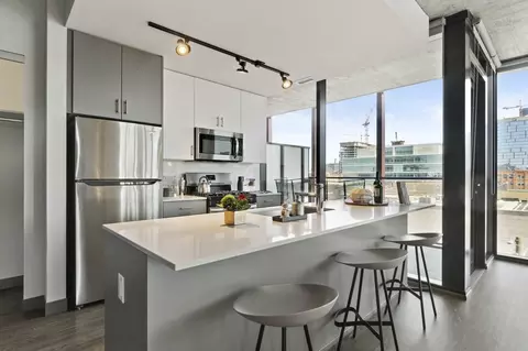 160 N Elizabeth St #2-2, Chicago, IL 60607