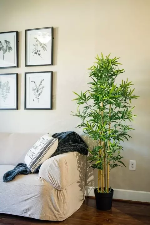 791 Town And Country Blvd #1335683P, Houston, TX 77024