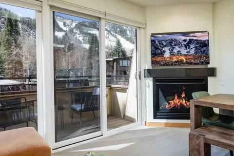 835 E Durant Ave #1339907P, Aspen, CO 81611