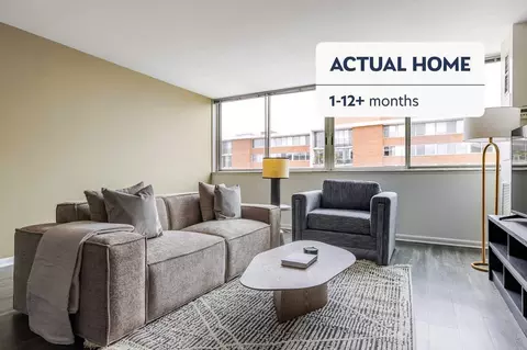 901 S Ashland Ave #1385, Chicago, IL 60607