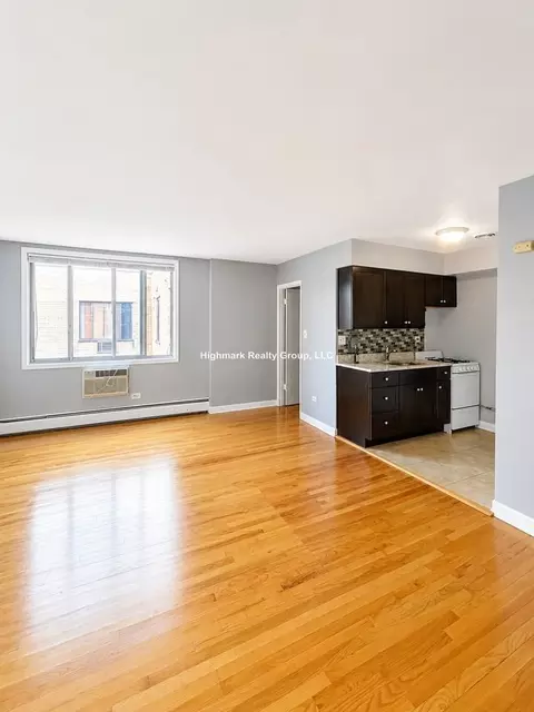 1515 W Morse Ave #203, Chicago, IL 60626