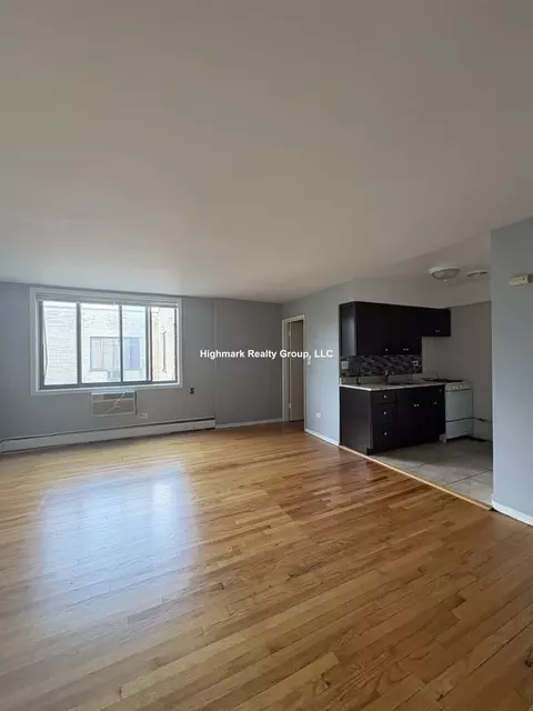 1515 W Morse Ave #305, Chicago, IL 60626