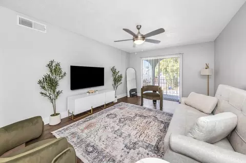 4404 W Kennedy Blvd #1369907P, Tampa, FL 33609