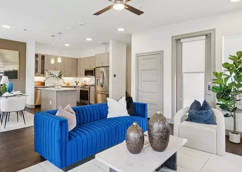 11401 Loblolly Way #6115.3, Frisco, TX 75035