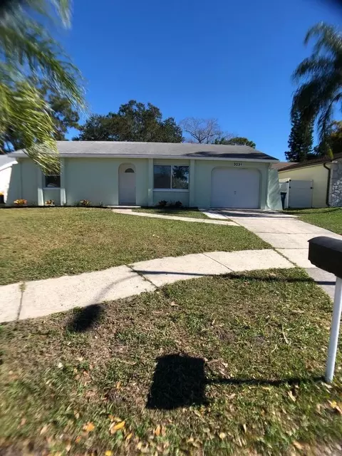 3231 Marigold Dr, Clearwater, FL 33761