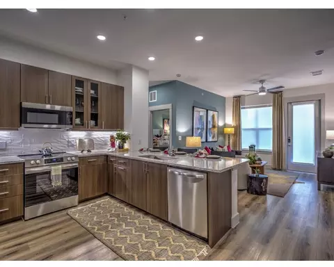 12500 Live Oak Way #337.8, Frisco, TX 75035
