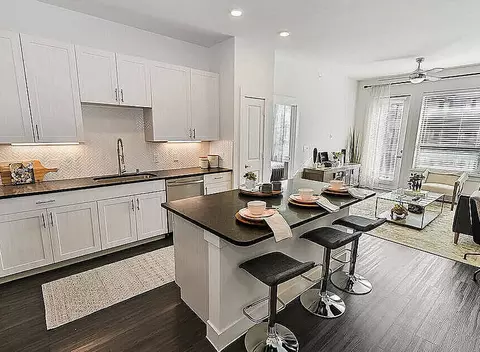 6500 Excellence Way #73.441, Plano, TX 75023