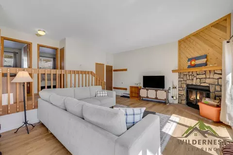 9825 Ryan Gulch Rd, Silverthorne, CO 80498