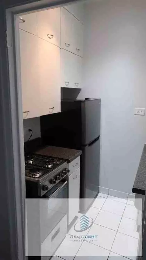 534 W Stratford Pl #406, Chicago, IL 60657
