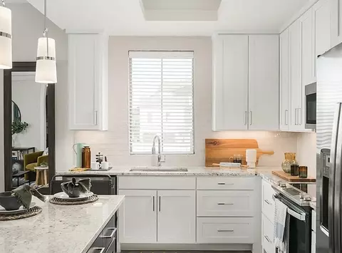 4101 Viridian Village Dr #ID400.81, Arlington, TX 76005