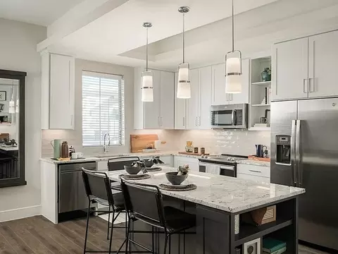 4101 Viridian Village Dr #448.03, Arlington, TX 76005