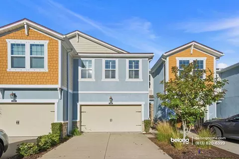 17806 Althea Blue Pl, Lutz, FL 33558