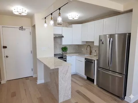 1460 N Sandburg Ter #2006, Chicago, IL 60610