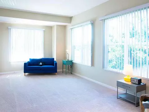 20800 Homestead Rd #1506185P, Cupertino, CA 95014