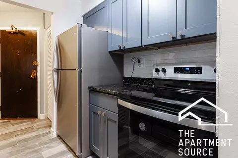 3825 N Pine Grove Ave #507, Chicago, IL 60613