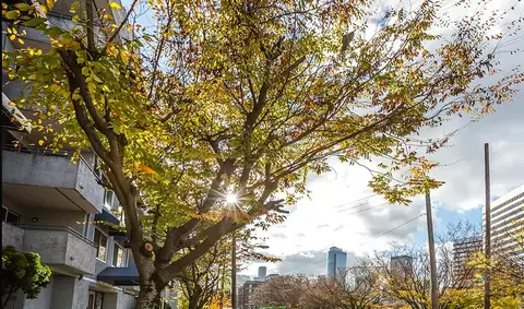 1718 Melrose Ave #212, Seattle, WA 98122