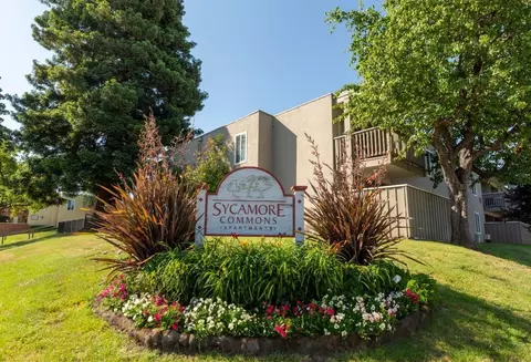 38655 Paseo Padre Pkwy, Fremont, CA 94536