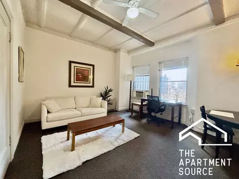 1220 N State Pkwy #F, Chicago, IL 60610
