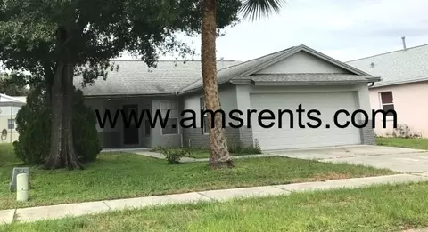7811 Turkey Oak Ln, Kissimmee, FL 34747