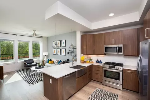 701 Cohn St #AM2, Houston, TX 77007