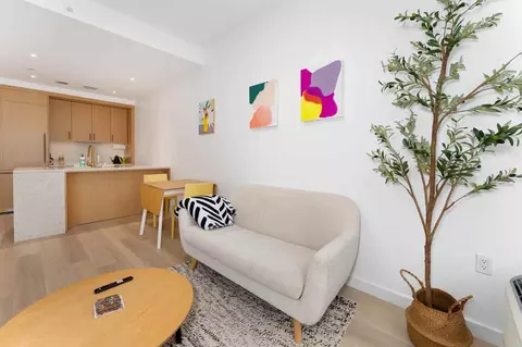 540 Atlantic Ave #N505, Brooklyn, NY 11217