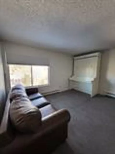 110 S Park Ave, Breckenridge, CO 80424
