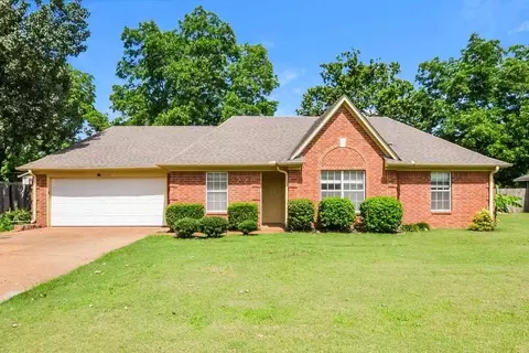 6020 Oak Ridge Dr, Olive Branch, MS 38654