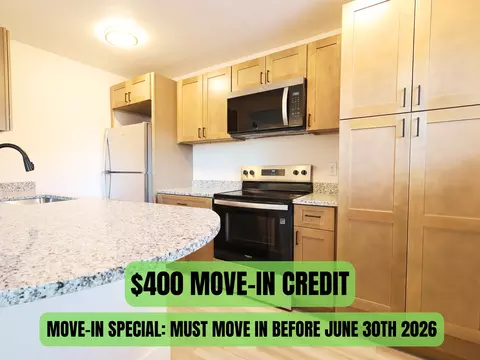 3021 Pestalozzi #201, Saint Louis, MO 63118