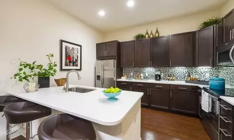 14401 Mackilsee Ln #DWT2, Houston, TX 77079