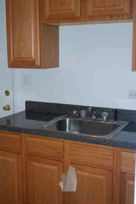 6341 N Magnolia Ave #43-3C, Chicago, IL 60660