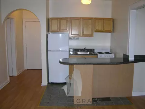 4521 N Malden St #206, Chicago, IL 60640