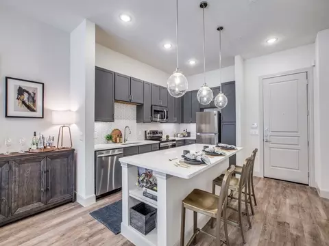 2333 Pinegate Dr #CA1, Houston, TX 77008