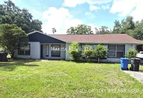 11515 Valencia Dr #B, Seffner, FL 33584