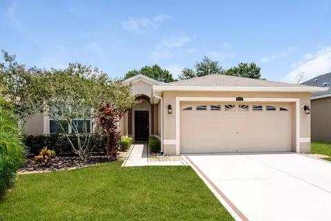 3636 Grecko Dr, Wesley Chapel, FL 33543