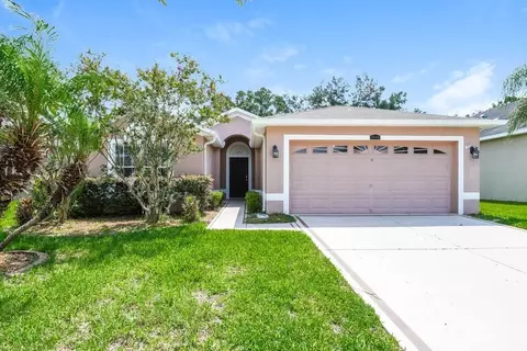 3636 Grecko Dr, Wesley Chapel, FL 33543