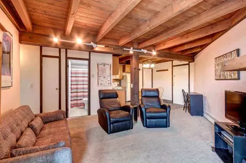 201 Treehouse # -C, Silverthorne, CO 80498