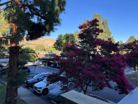 46856 Fernald Cmn #36, Fremont, CA 94539