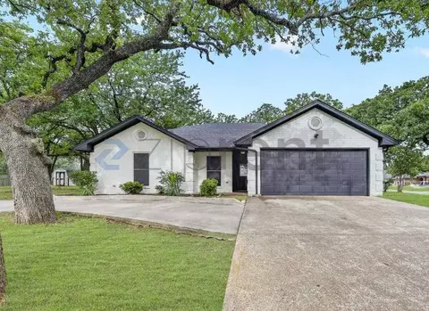 217 N Spring Branch Trl, Springtown, TX 76082