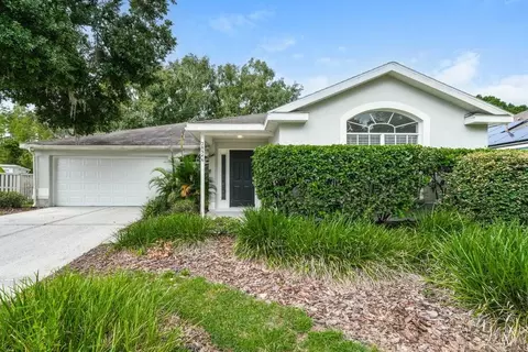 28546 Tall Grass Dr, Wesley Chapel, FL 33543