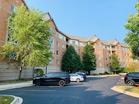 125 N Buffalo Grove Rd #313, Buffalo Grove, IL 60089