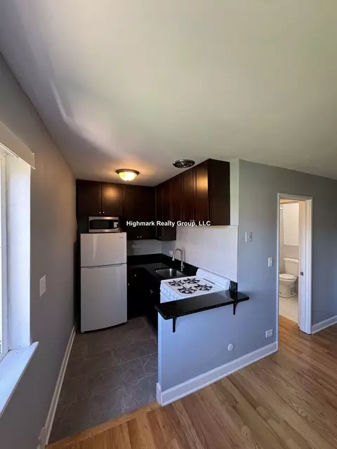 663 W Grace St #302A, Chicago, IL 60613
