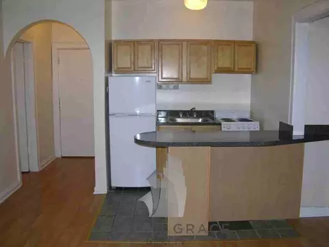 4521 N Malden St #101, Chicago, IL 60640
